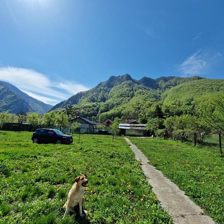 Green Nest Брезой Екстер'єр фото