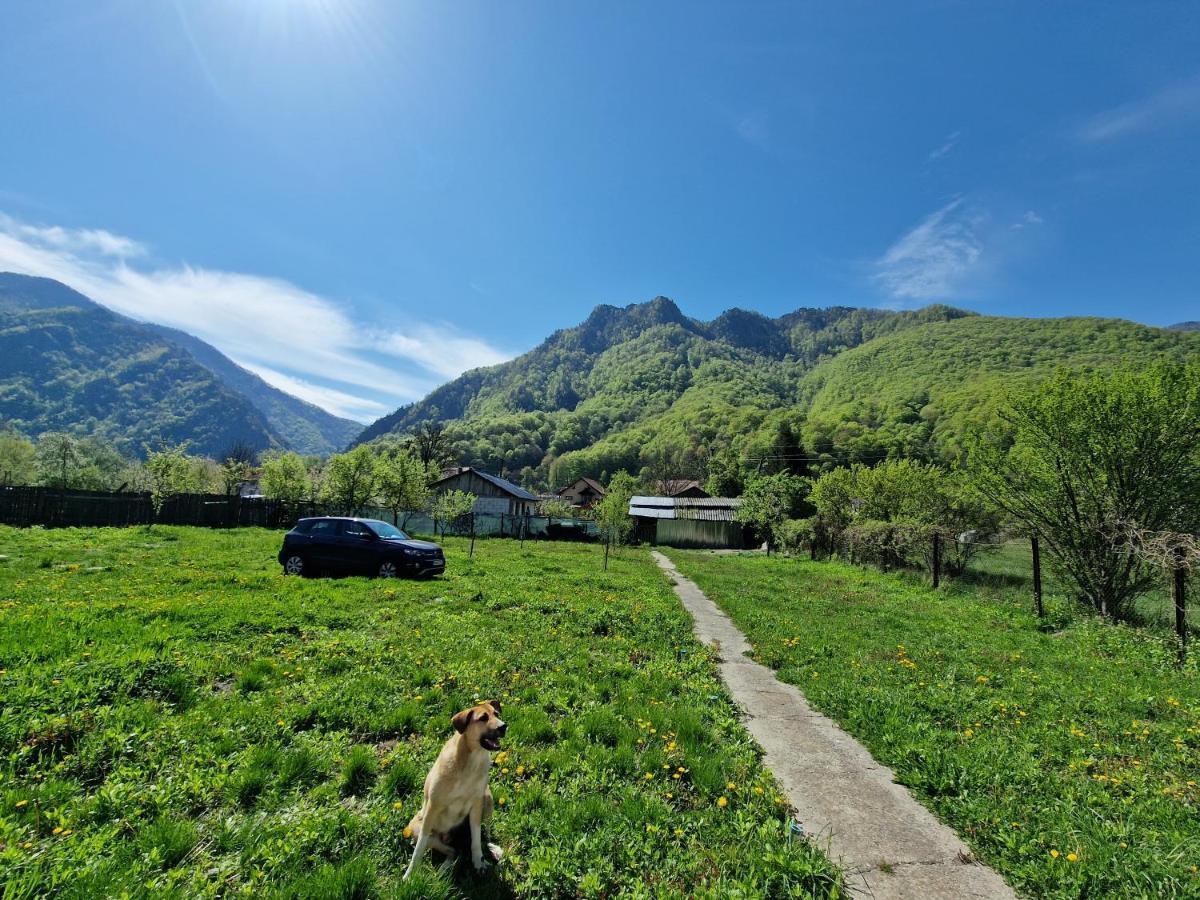 Green Nest Брезой Екстер'єр фото